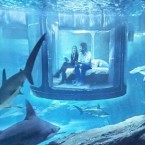 &kappa;&alpha;&rho;&chi;&alpha;&rho;ί&epsilon;&sigmaf;