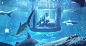 &kappa;&alpha;&rho;&chi;&alpha;&rho;ί&epsilon;&sigmaf;