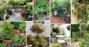 &delta;&iota;&alpha;&mu;ό&rho;&phi;&omega;&sigma;&eta;