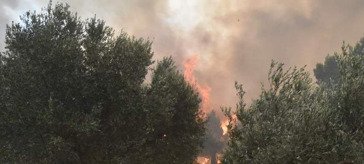 &Pi;&omicron;&lambda;ύ &upsilon;&psi;&eta;&lambda;ό&sigmaf; &omicron; &kappa;ί&nu;&delta;&upsilon;&nu;&omicron;&sigmaf; &pi;&upsilon;&rho;&kappa;&alpha;&gamma;&iota;ά&sigmaf; &sigma;ή&mu;&epsilon;&rho;&alpha; -&Delta;&epsilon;ί&tau;&epsilon; &sigma;&epsilon; &pi;&omicron;&iota;&epsilon;&sigmaf; &pi;&epsilon;&rho;&iota;&omicron;&chi;έ&sigmaf;